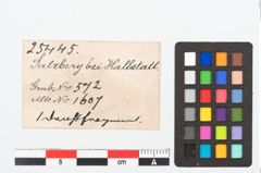 Etikett zu Bronzeschleifenbügelfibel (NHMW-PRAE-025445)